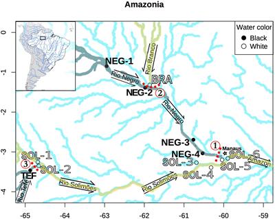 Evolution of an Amazonian Fish Is Driven by Allopatric Divergence Rather Than Ecological Divergence